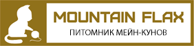 Питомник мейн-кунов Mountain Flax — разведение и продажа кошек породы мейн-кун в Екатеринбурге